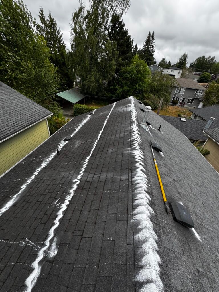 IVVistas Moss removal service in Renton