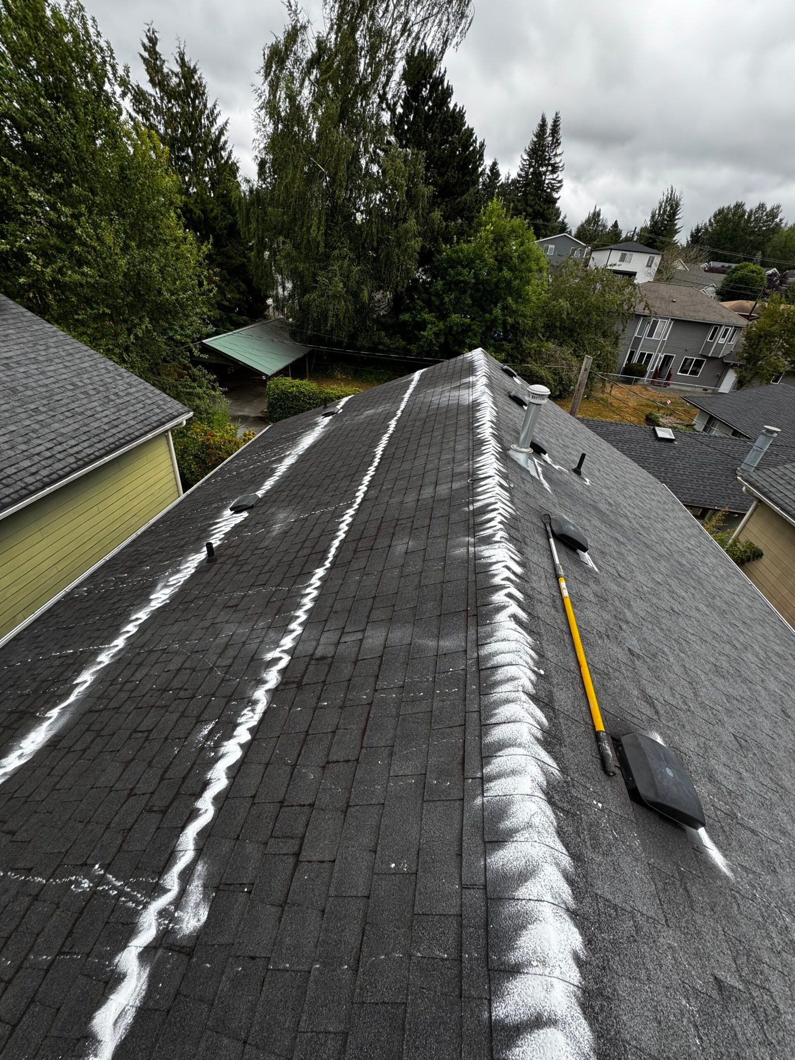 IVVistas Moss removal service in Renton