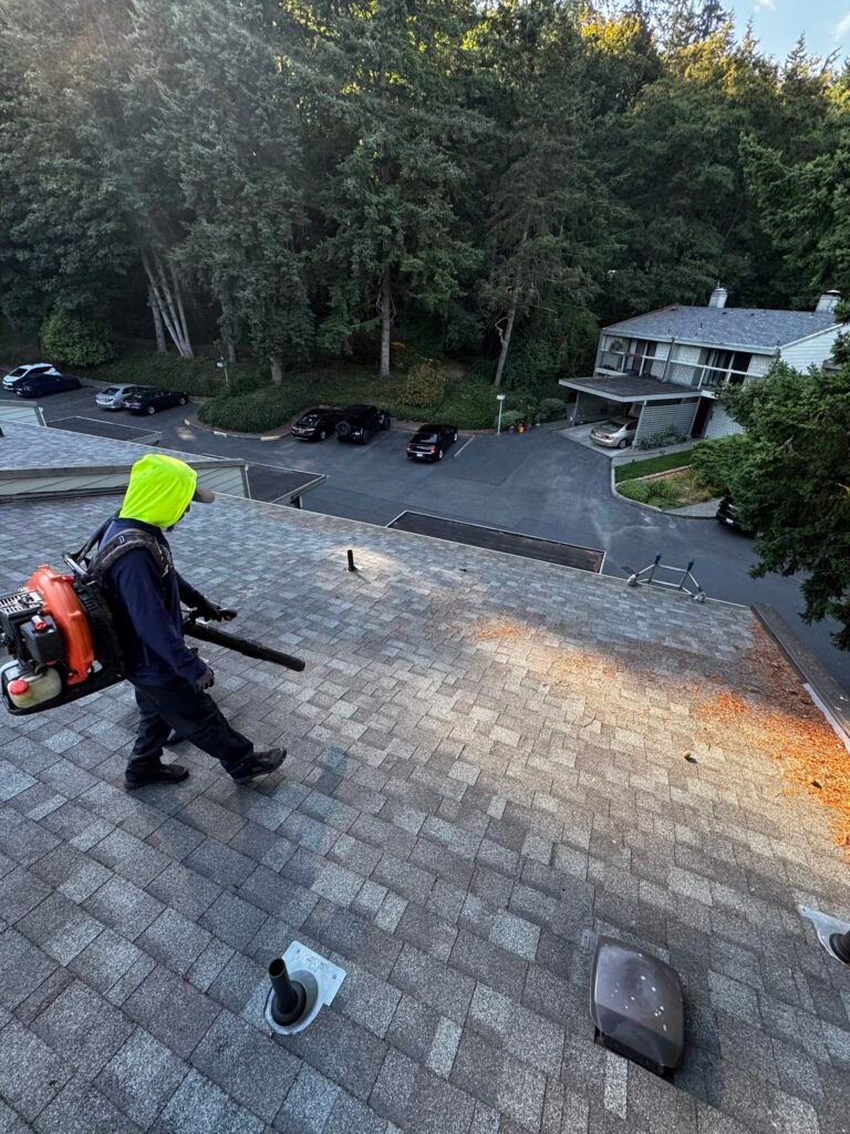 IVVistas Roof cleaning in Renton