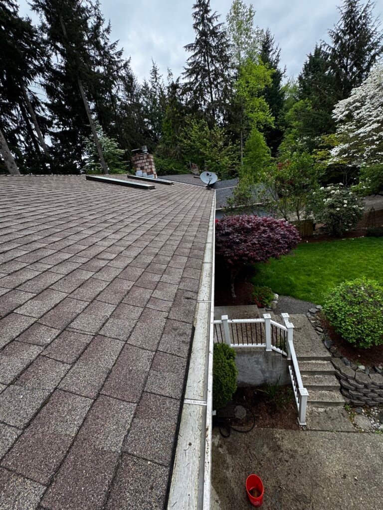 IVVistas Gutter cleaning service in Renton