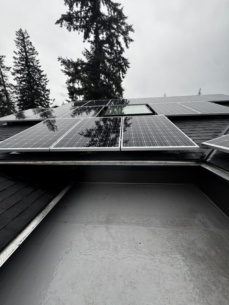 Solar panels cleaning