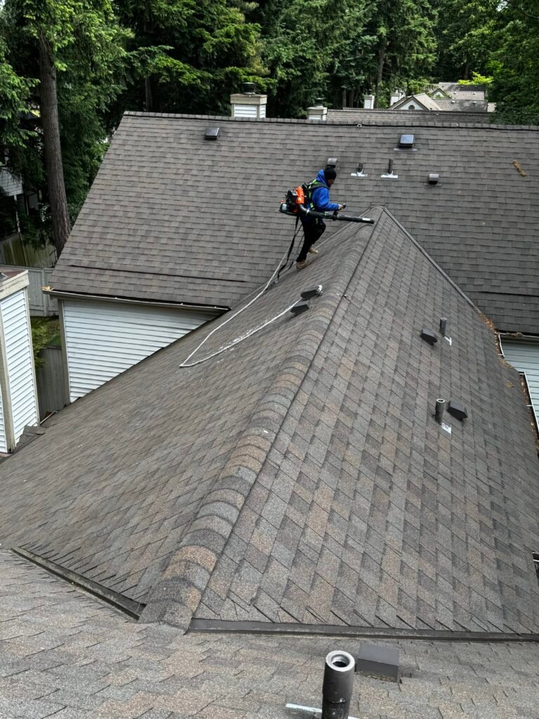 IVVistas Roof cleaning service in Renton