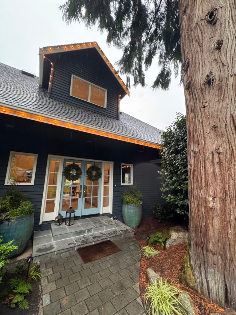 A house just roof cleaned