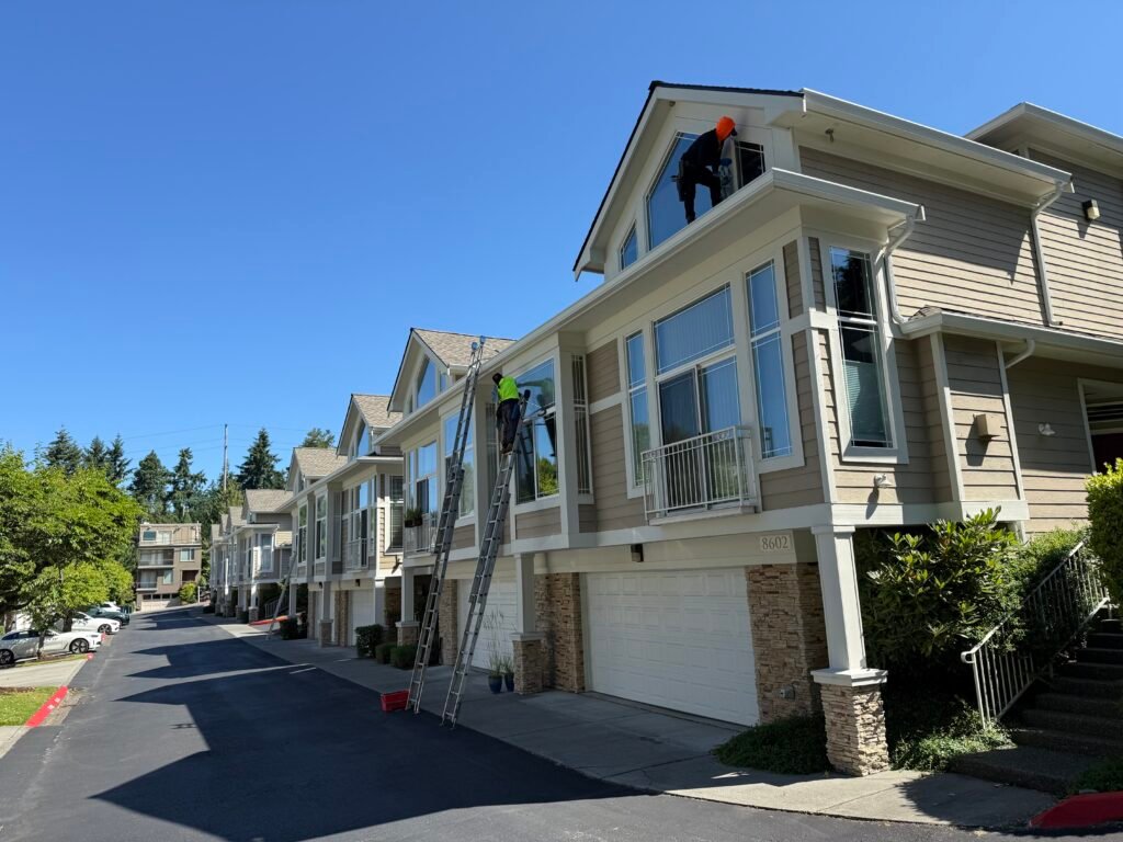 Window Cleaning