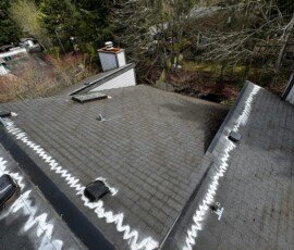 Moss removal Moss removal