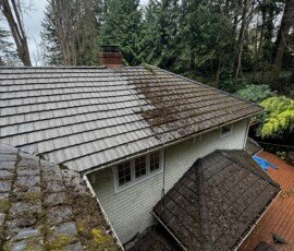 Roof cleaning Roof cleaning